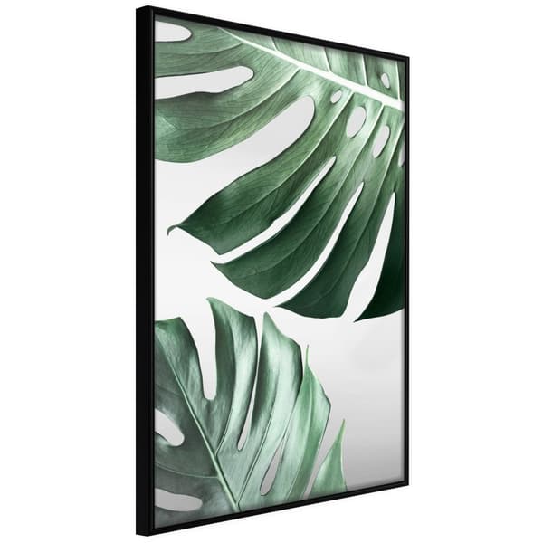 Inramad Poster / Tavla - Leaves Like Swiss Cheese