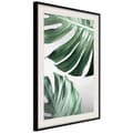 Miniatyrbild 4 av 11: Inramad Poster / Tavla - Leaves Like Swiss Cheese