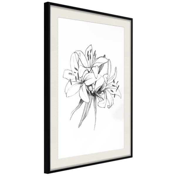 Inramad Poster / Tavla - Sketch of Lillies