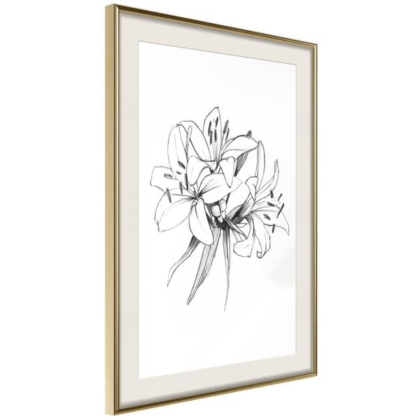 Inramad Poster / Tavla - Sketch of Lillies
