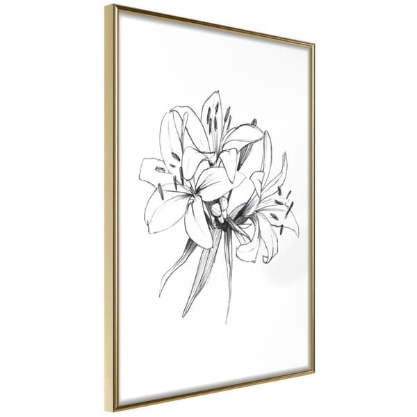 Inramad Poster / Tavla - Sketch of Lillies Guldram 20x30