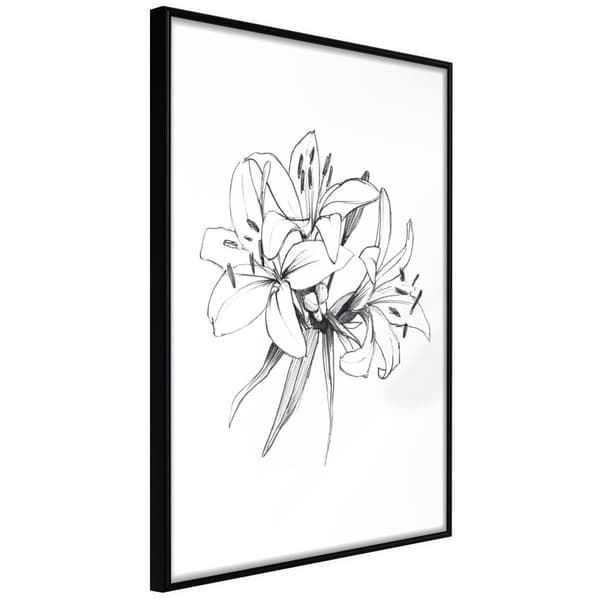 Inramad Poster / Tavla - Sketch of Lillies