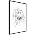 Miniatyrbild 1 av 11: Inramad Poster / Tavla - Sketch of Lillies
