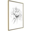Miniatyrbild 1 av 11: Inramad Poster / Tavla - Sketch of Lillies