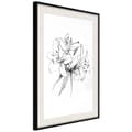 Miniatyrbild 4 av 11: Inramad Poster / Tavla - Sketch of Lillies