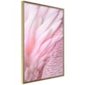 Miniatyrbild 1 av 11: Inramad Poster / Tavla - Pink Feathers