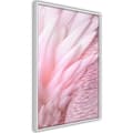 Miniatyrbild 1 av 11: Inramad Poster / Tavla - Pink Feathers