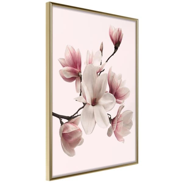 Inramad Poster / Tavla - Blooming Magnolias I