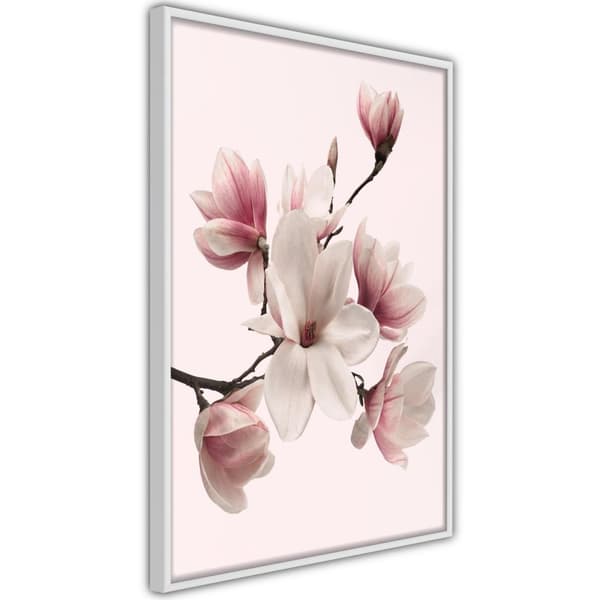 Inramad Poster / Tavla - Blooming Magnolias I