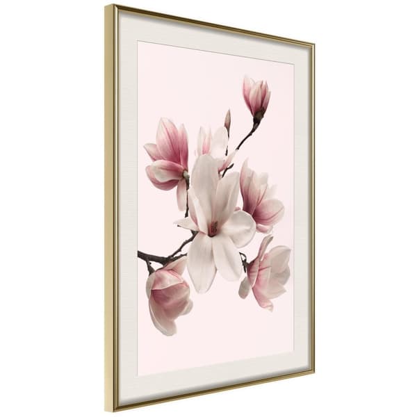 Inramad Poster / Tavla - Blooming Magnolias I