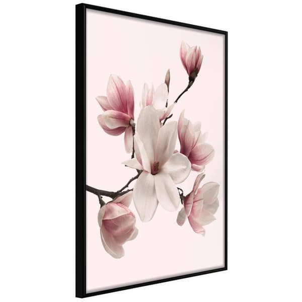 Inramad Poster / Tavla - Blooming Magnolias I