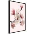 Miniatyrbild 1 av 11: Inramad Poster / Tavla - Blooming Magnolias I