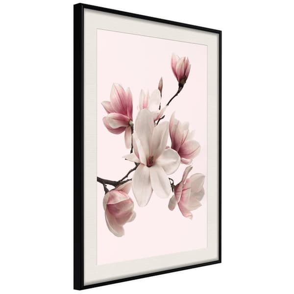Inramad Poster / Tavla - Blooming Magnolias I