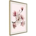 Miniatyrbild 9 av 11: Inramad Poster / Tavla - Blooming Magnolias I