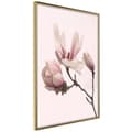 Miniatyrbild 1 av 11: Inramad Poster / Tavla - Blooming Magnolias II
