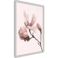 Miniatyrbild 8 av 11: Inramad Poster / Tavla - Blooming Magnolias II
