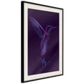 Miniatyrbild 4 av 11: Inramad Poster / Tavla - Fluorescent Hummingbird