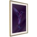 Miniatyrbild 9 av 11: Inramad Poster / Tavla - Fluorescent Hummingbird