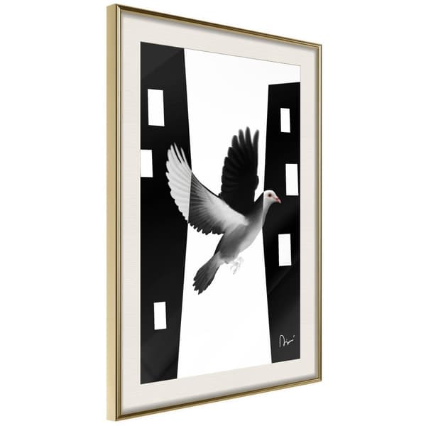 Inramad Poster / Tavla - Caught in Flight