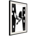 Miniatyrbild 4 av 11: Inramad Poster / Tavla - Caught in Flight