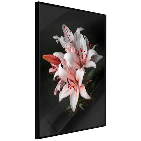 Inramad Poster / Tavla - Pale Pink Lilies