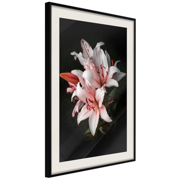 Inramad Poster / Tavla - Pale Pink Lilies