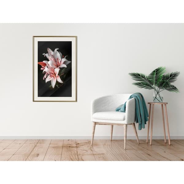Inramad Poster / Tavla - Pale Pink Lilies