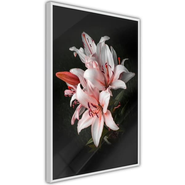 Inramad Poster / Tavla - Pale Pink Lilies
