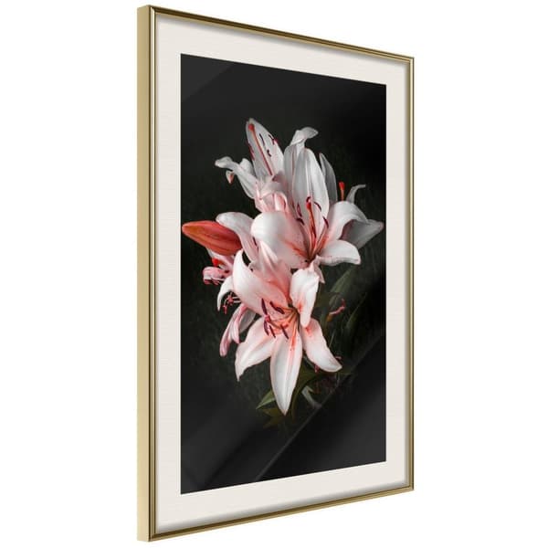 Inramad Poster / Tavla - Pale Pink Lilies