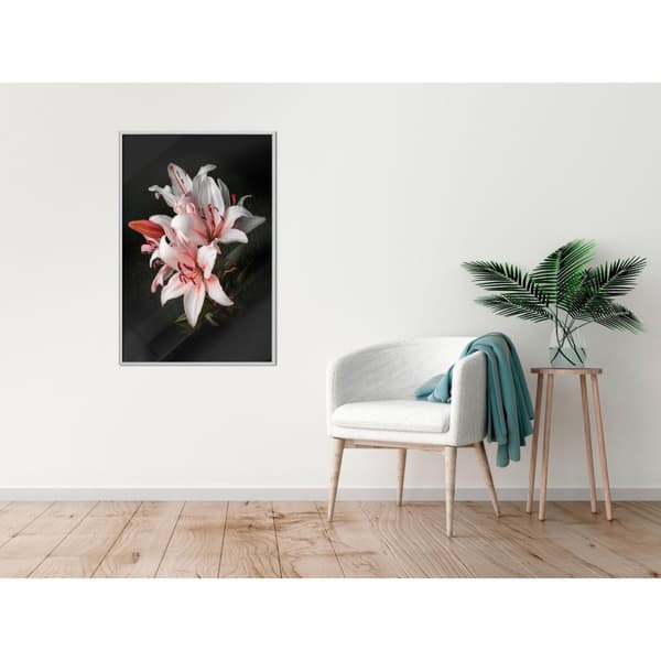 Inramad Poster / Tavla - Pale Pink Lilies