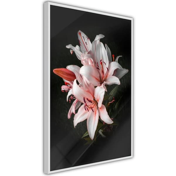 Inramad Poster / Tavla - Pale Pink Lilies