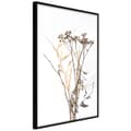Miniatyrbild 1 av 11: Inramad Poster / Tavla - Diary of a Herbalist