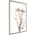 Miniatyrbild 1 av 11: Inramad Poster / Tavla - Diary of a Herbalist