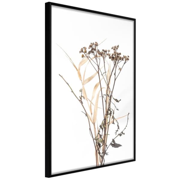 Inramad Poster / Tavla - Diary of a Herbalist