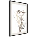 Miniatyrbild 4 av 11: Inramad Poster / Tavla - Diary of a Herbalist
