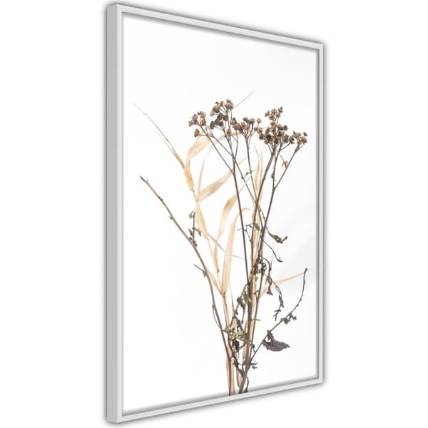 Inramad Poster / Tavla - Diary of a Herbalist