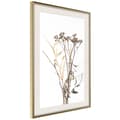 Miniatyrbild 9 av 11: Inramad Poster / Tavla - Diary of a Herbalist