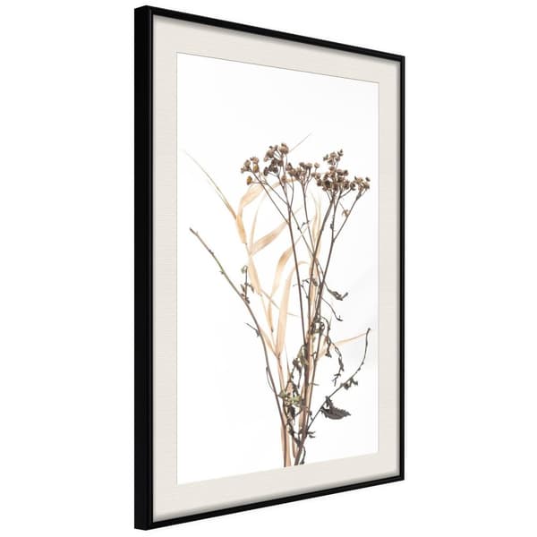Inramad Poster / Tavla - Diary of a Herbalist Svart ram med passepartout 30x45