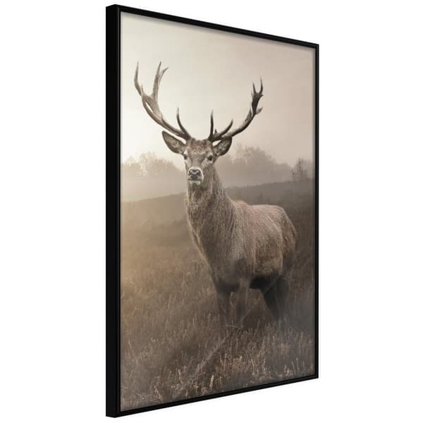Inramad Poster / Tavla - Representation of Dignity Svart ram 30x45