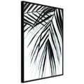 Miniatyrbild 1 av 11: Inramad Poster / Tavla - Leaf and Its Shadow