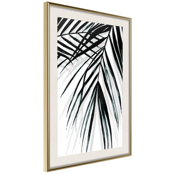 Inramad Poster / Tavla - Leaf and Its Shadow Guldram med passepartout 40x60