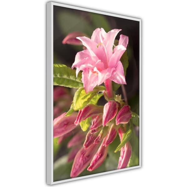 Inramad Poster / Tavla - Garden's Centerpiece