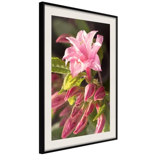 Inramad Poster / Tavla - Garden's Centerpiece