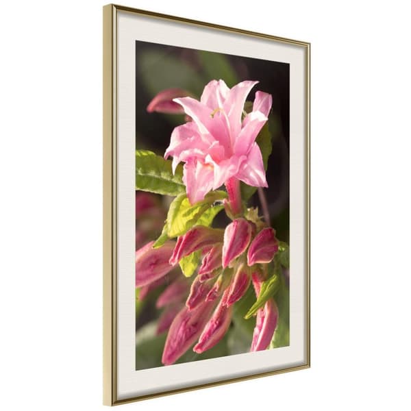 Inramad Poster / Tavla - Garden's Centerpiece