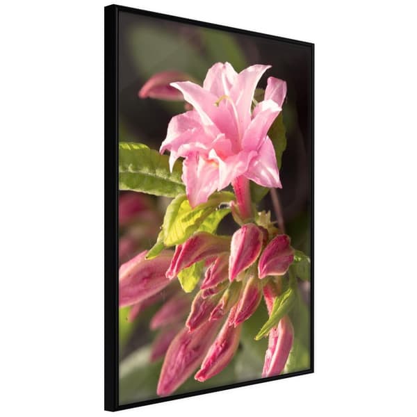 Inramad Poster / Tavla - Garden's Centerpiece Svart ram 30x45