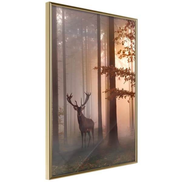 Inramad Poster / Tavla - Forest Seclusion