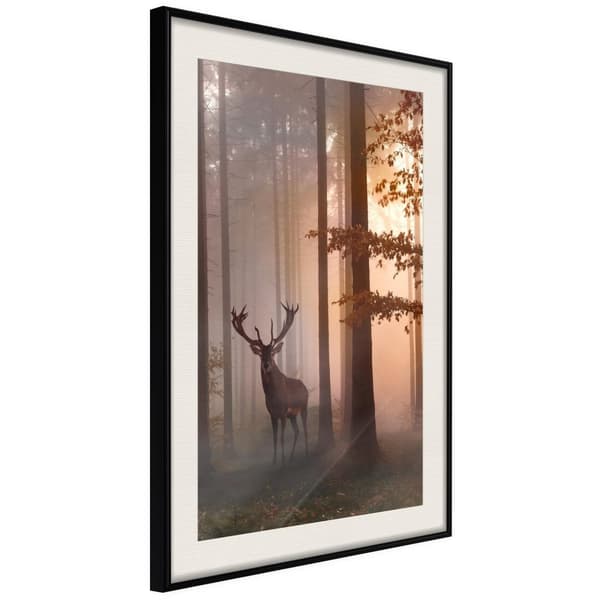 Inramad Poster / Tavla - Forest Seclusion