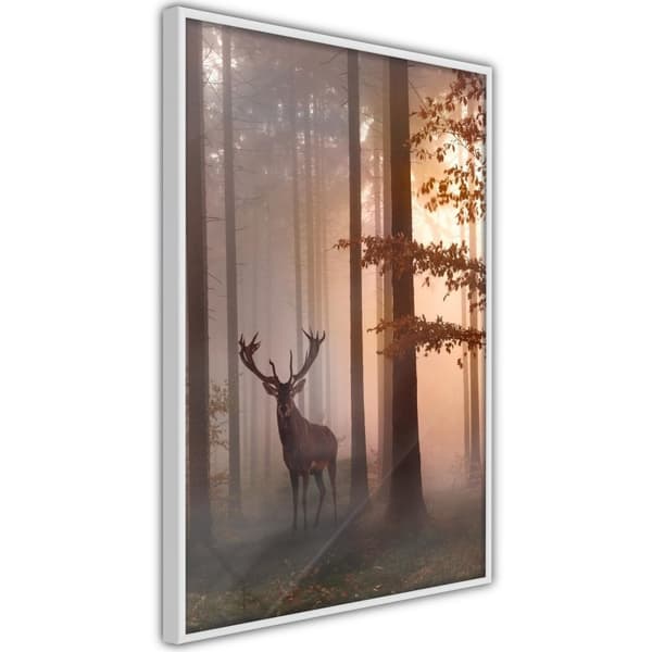 Inramad Poster / Tavla - Forest Seclusion