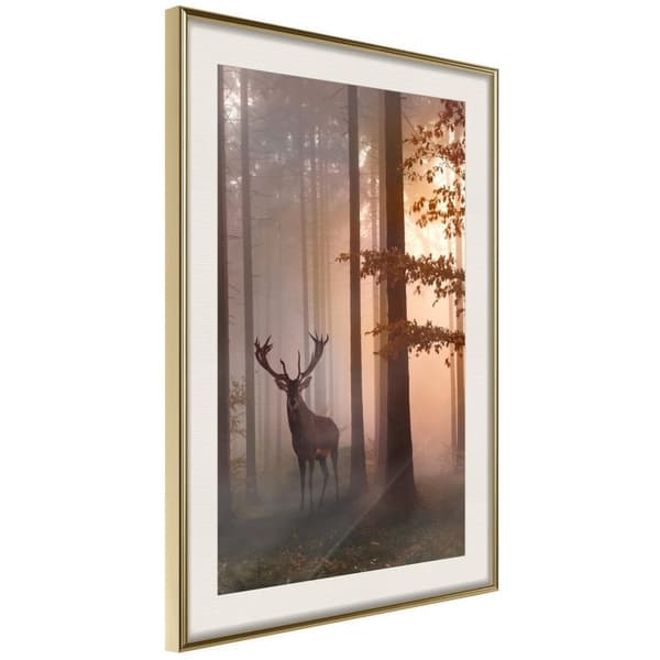 Inramad Poster / Tavla - Forest Seclusion
