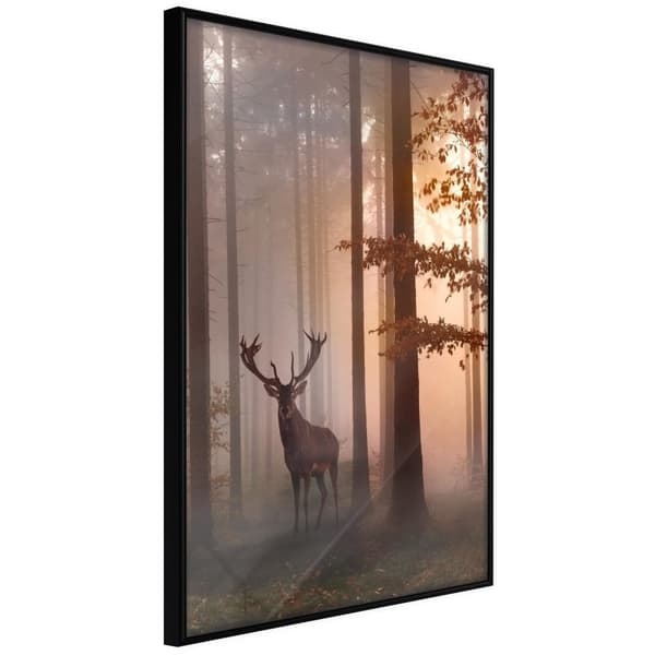 Inramad Poster / Tavla - Forest Seclusion